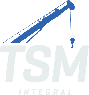 TSM Integral